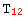 T_12