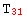 T_31