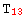 T_13