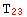 T_23