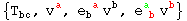 {T_bc^&nbsp;&nbsp;, v_ ^a, e_b ^( a) v_ ^b, e_ ( b)^a  v_ ^b}