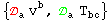 {_a^ v_ ^b, _a^ T_bc^&nbsp;&nbsp;}