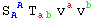 S_A ^( A) T_ (ab)^&nbsp;&nbsp; v_ ^a v_ ^b