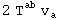 2 T_&nbsp;&nbsp;^ab v_a^ 